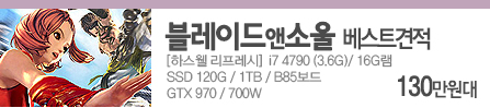 블래이드앤소울 견적 [하스웰 리프레시]i7 4790/16GB/SSD 120GB/1TB/B85/GTX970/700W